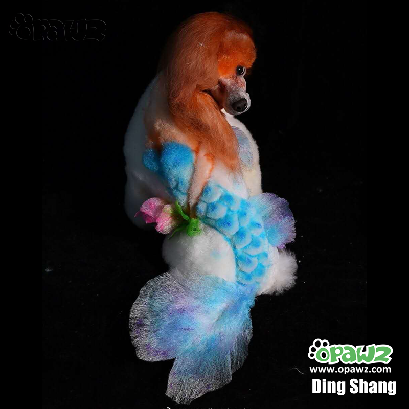 Crème de dilution de couleur permanente OPAWZ, 8,46 oz. 240g (PD13)