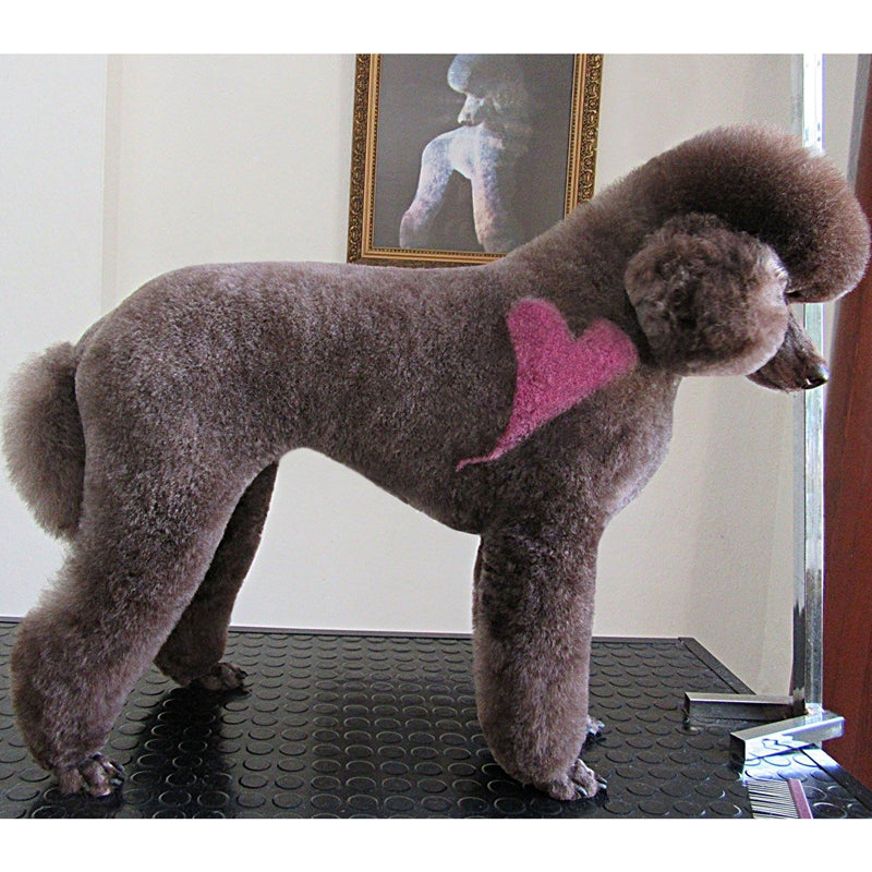 Dog grooming hot sale chalk powder