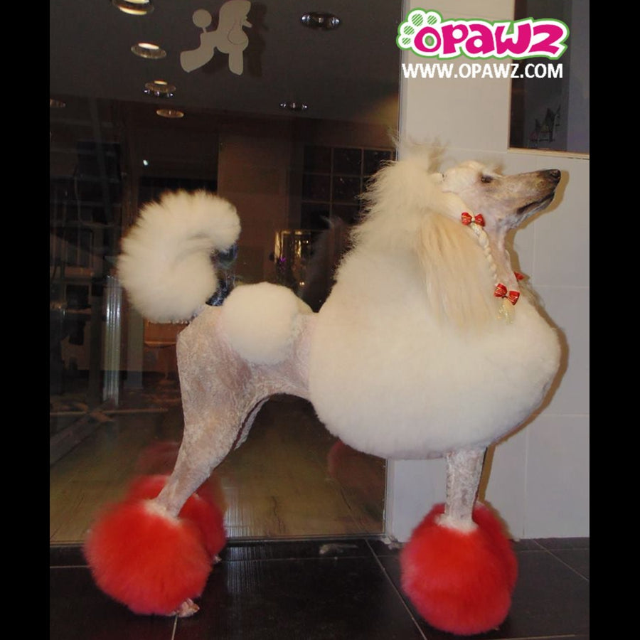 Teinture pour poils de chien - Rouge vif (PD01)