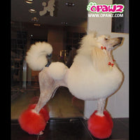 Teinture pour poils de chien - Rouge vif (PD01)