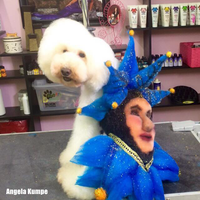 Teinture pour poils de chien - Bleu cobalt (PD11)