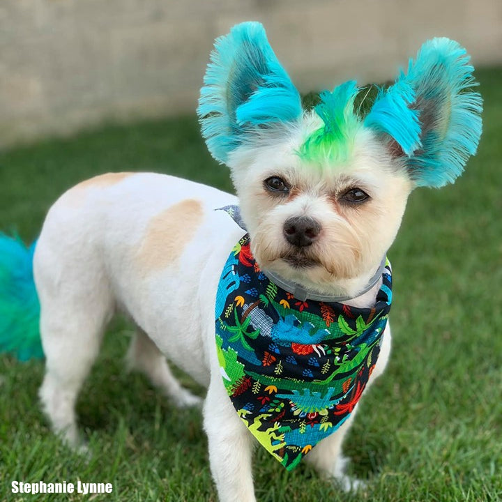 Teinture pour poils de chien - Bleu innocent (PD05)