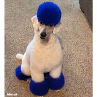 Teinture pour poils de chien - Bleu cobalt (PD11)