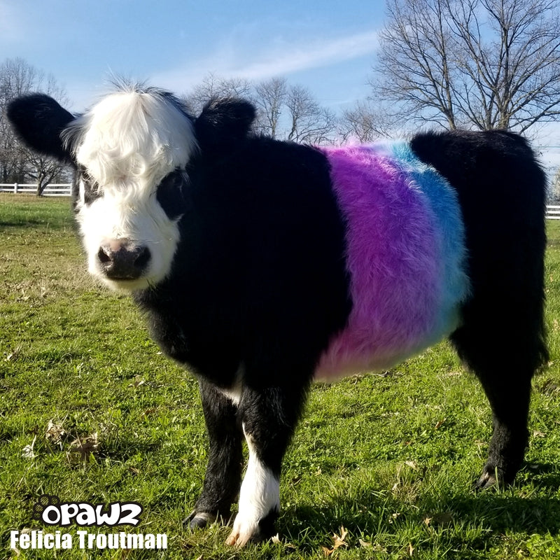 Semi-Permanent Dye - Shocking Pink (SM04)