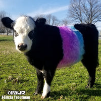 Semi-Permanent Dye - Shocking Pink (SM04)