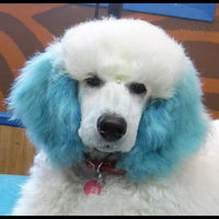 Stylo à peinture OPAWZ - Bleu