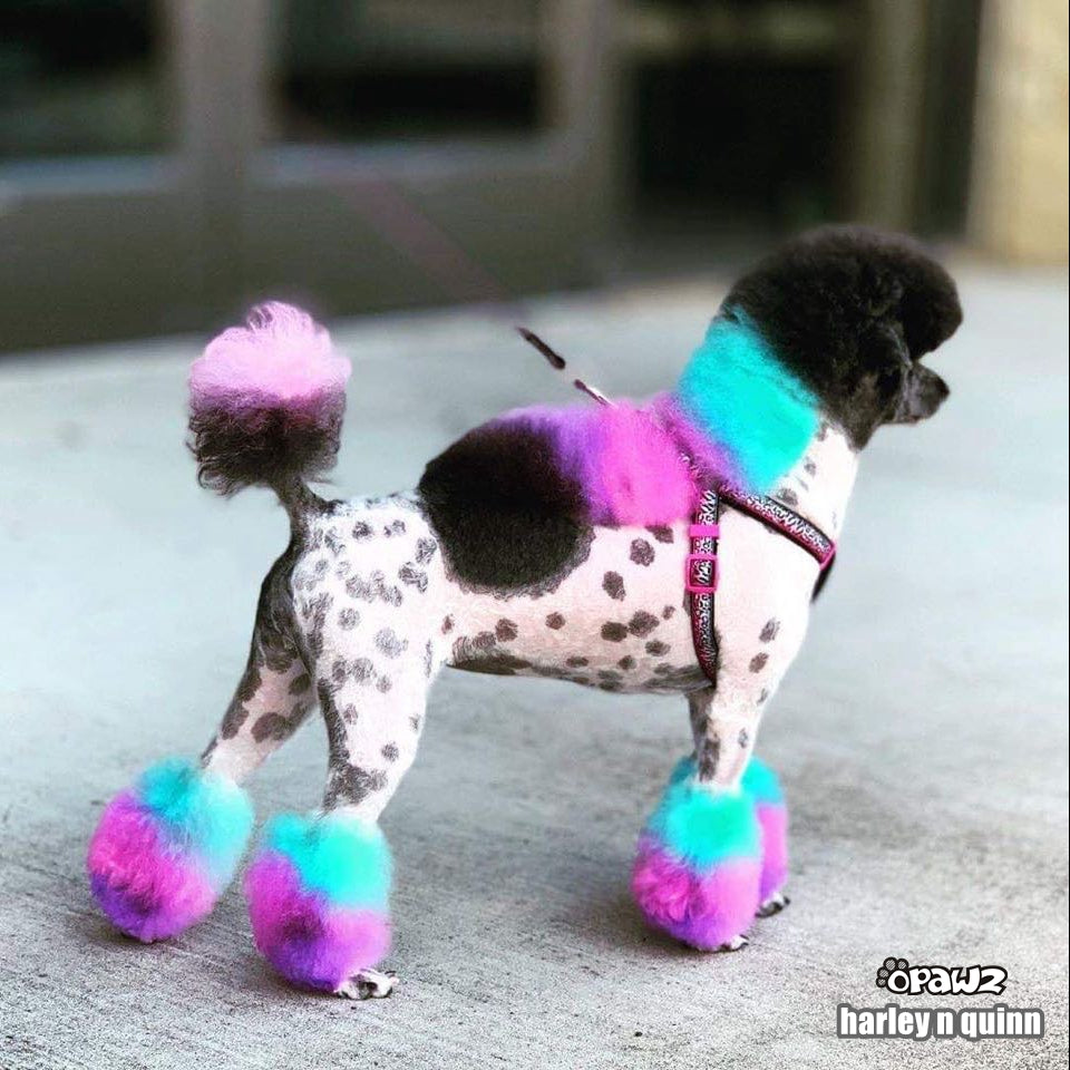 Semi-Permanent Dye - Shocking Pink (SM04)