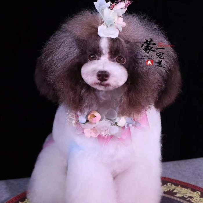 Pince à cheveux pour animaux de compagnie Fairy Garden - B011