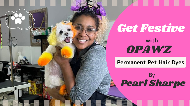 Creating Simple Seasonal Designs Using OPAWZ Permanent Pet Hair Dyes