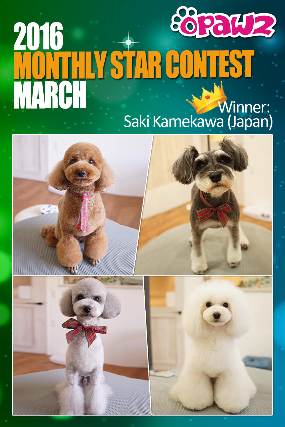 March Monthly Star - Congratulations!