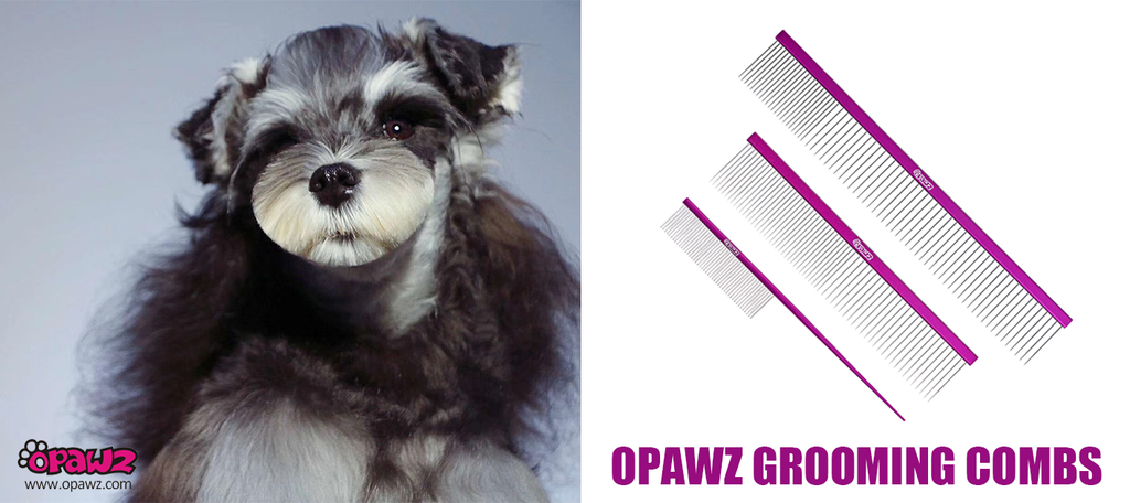 ¡Peines Profesionales de OPAWZ- El asistente perfecto de un Groomer!