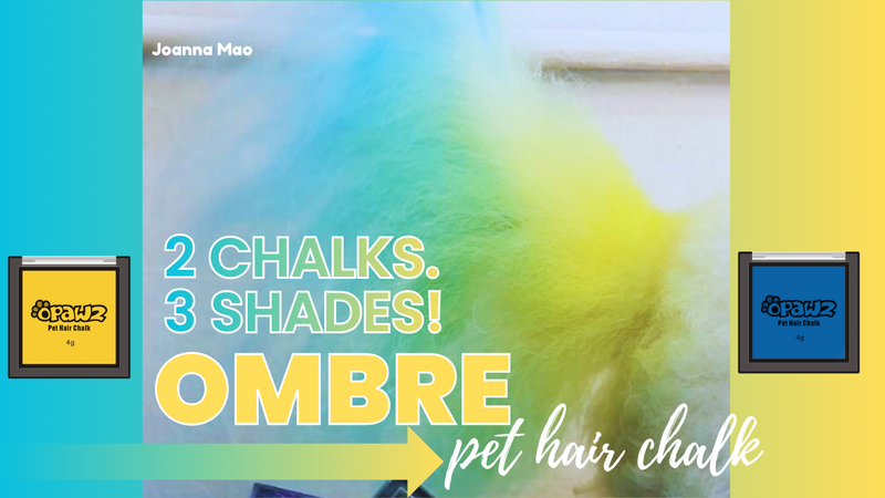 Ombre Pet Hair Chalk Tutorial