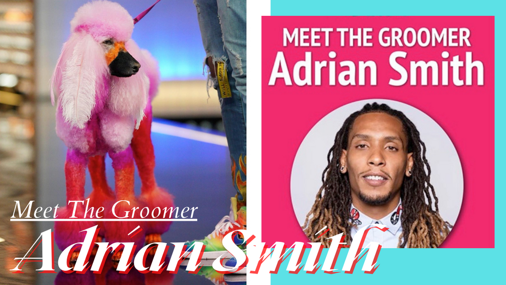 Meet The Groomer - Adrian Smith | OPAWZ Professional Creative Dog Grooming