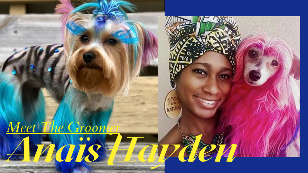 Meet The Groomer - Anaïs Hayden | OPAWZ Professional Creative Dog Grooming