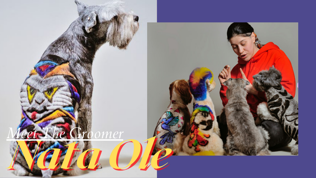 Meet The Groomer - Nata Ole | OPAWZ Professional Creative Dog Grooming