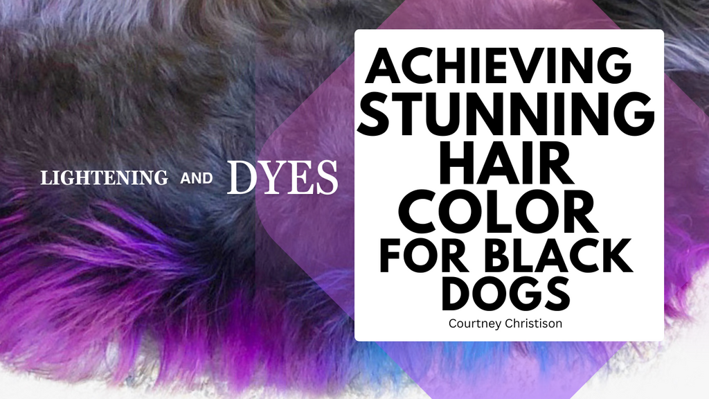 Tips for Achieving Stunning Hair Color For Black Dogs | OPAWZ Lightening & Dog Dyes
