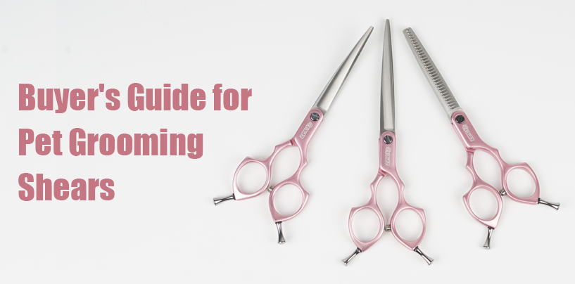 Dog Grooming Shears Buyer's Guide