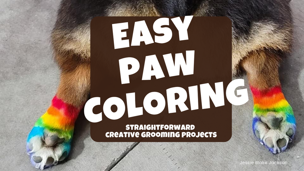 Safe & Easy Paw Coloring Using OPAWZ Pet Hair Dyes