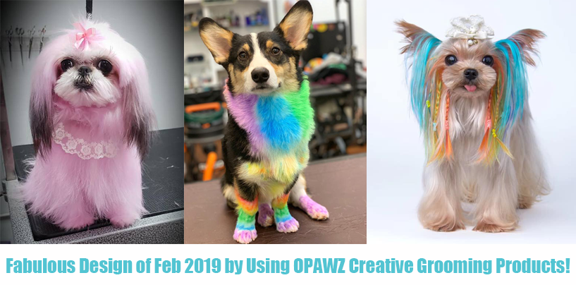 Fabulous Design of Feb 2019 by Using OPAWZ Creative Grooming Products!