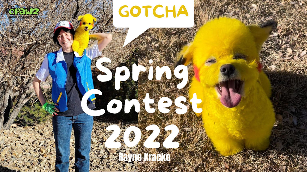 Spring Grooming Contest 2022 | OPAWZ Creative Grooming Competition