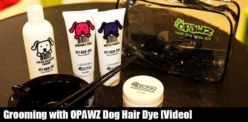 Lightening Cream OPAWZ Dog Hair Dye, Dog Grooming Supplies Purple