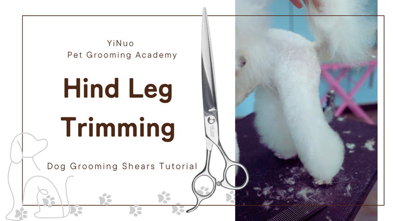 OPAWZ Dog Grooming Shears Tutorial - Rear / Hind Leg Trimming