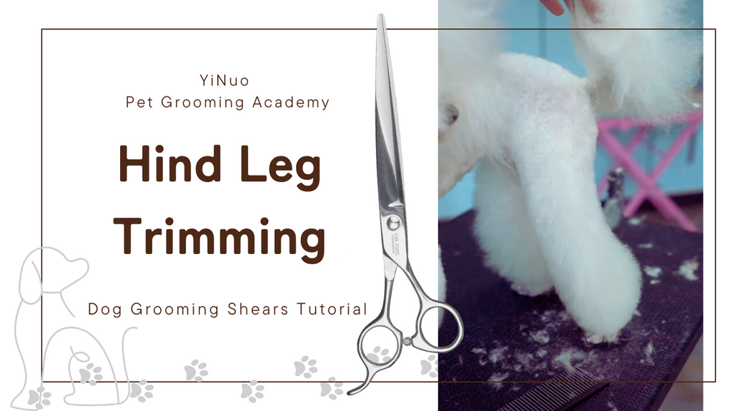 OPAWZ Dog Grooming Shears Tutorial - Rear / Hind Leg Trimming
