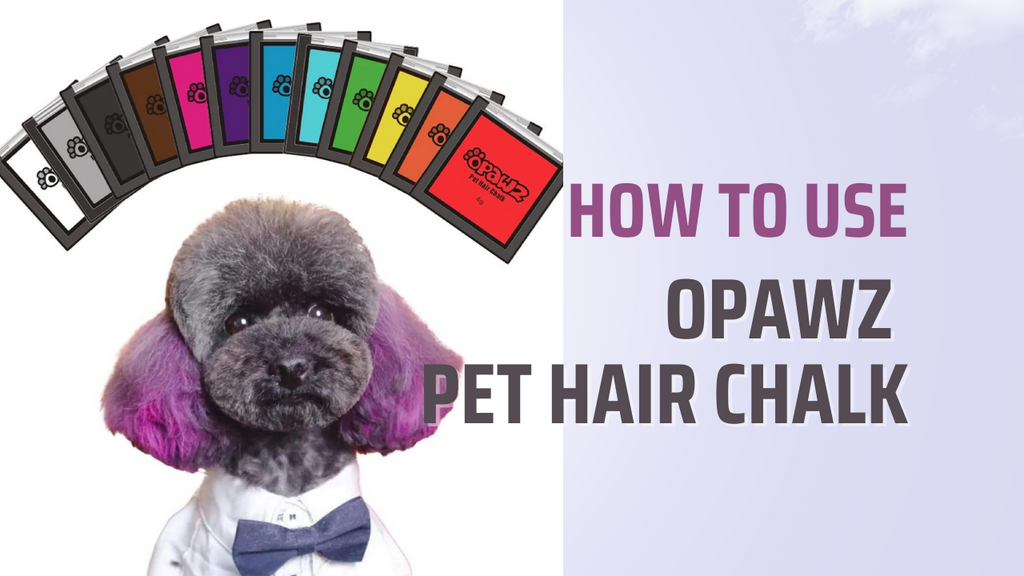 How To Use OPAWZ Pet Hair Chalk