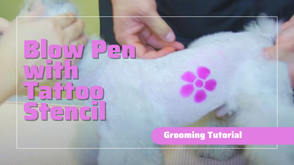 OPAWZ Blow Pen Grooming Tutorial with OPAWZ Tattoo Stencil [Video]