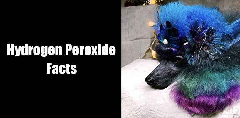 Hydrogen Peroxide Facts