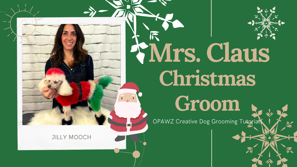 Mrs. Claus Christmas Dog Groom By Jilly Mooch | OPAWZ Creative Grooming Live Tutorial
