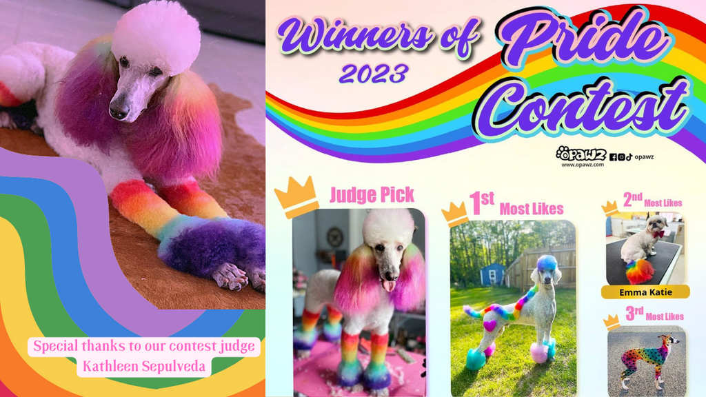 OPAWZ Pride Creative Dog Grooming Contest 2023