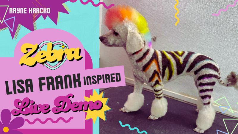 Lisa Frank–Inspired Zebra Print Creative Dog Grooming Live Tutorial