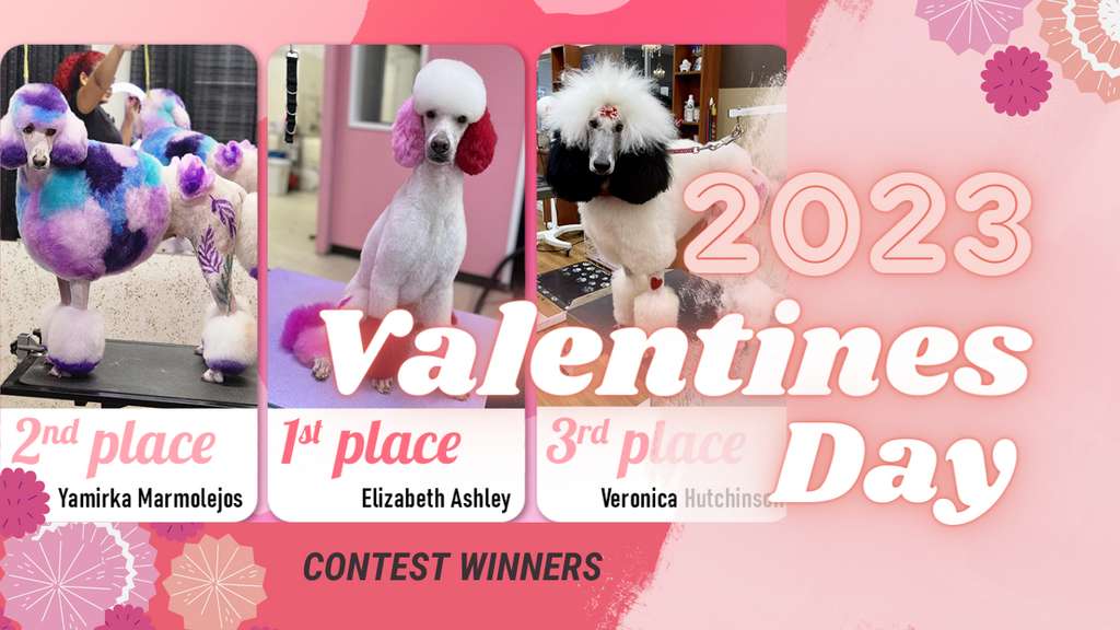 Creative Dog Grooming Contest For Valentine’s Day 2023 | OPAWZ
