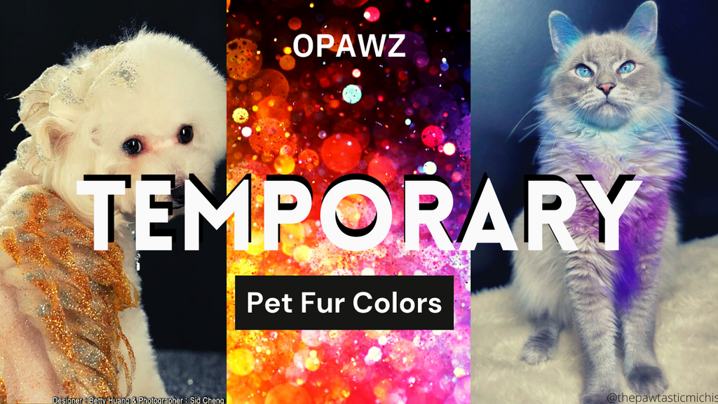 OPAWZ Temporary Pet Hair Dye For Creative Grooming