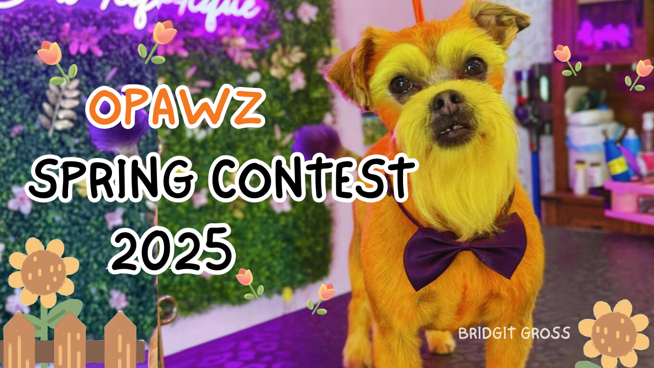 happiness is a warm puppy カラー OPAWZ Spring Creative Grooming Contest 2025