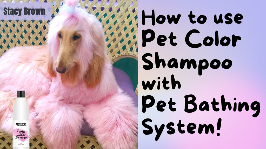 How To Use Pet Color Shampoo with Pet Bathing System | OPAWZ Creative Grooming Live Tutorial