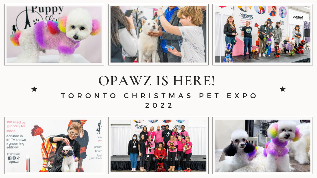 OPAWZ At Toronto Christmas Pet Expo 2022