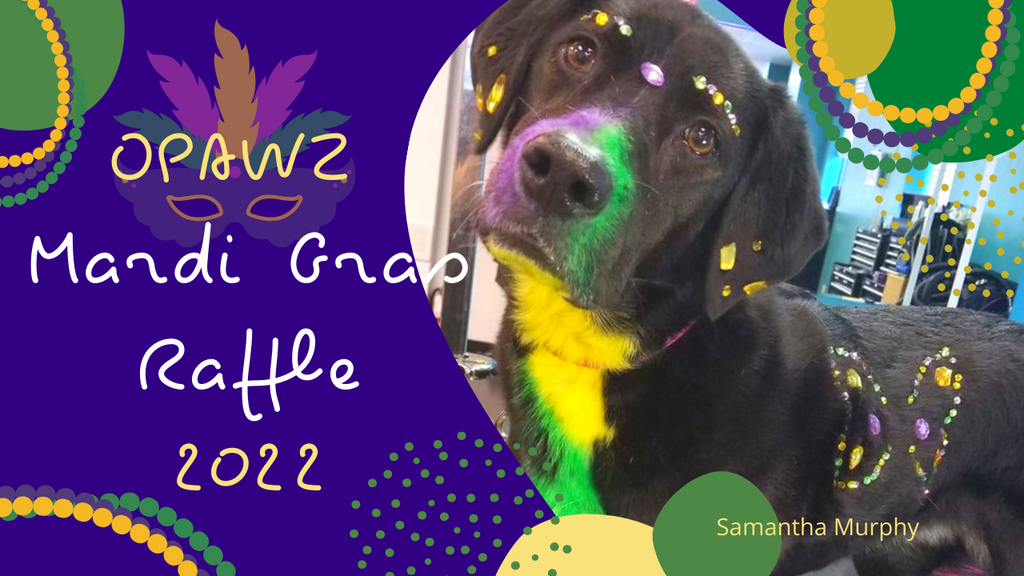 Mardi Gras Raffle at OPAWZ - Creative Dog Grooming Contest 2022