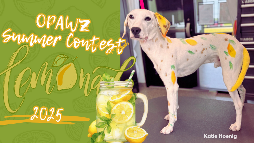 OPAWZ Summer Creative Grooming Contest 2025