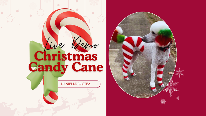 Christmas Candy Cane Creative Dog Grooming Tutorial with OPAWZ Pet Hair Color Dye