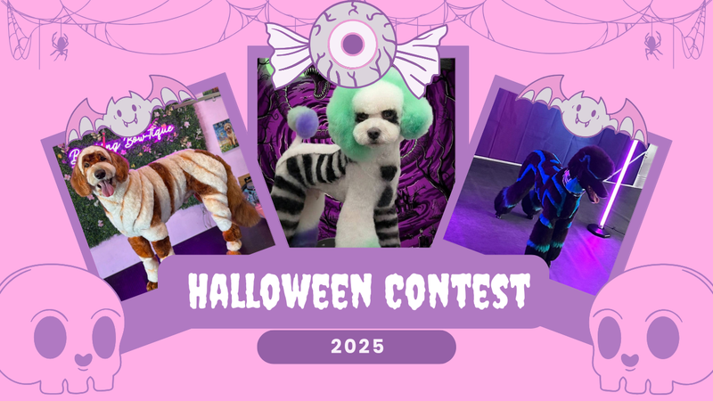 OPAWZ Halloween Creative Grooming Contest 2025