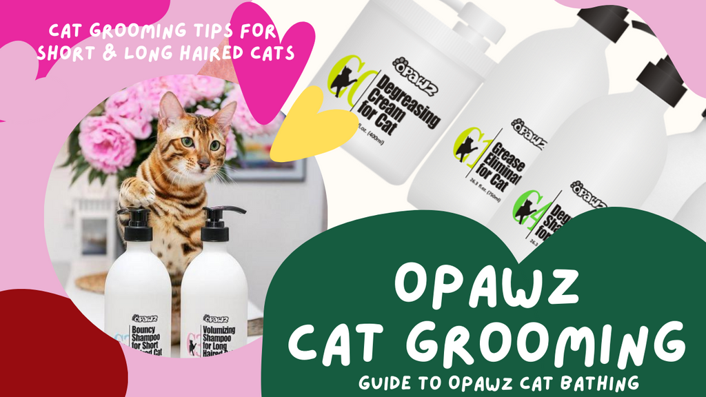 Cat Grooming Tips for Short & Long Haired Cats | Guide To OPAWZ Cat Bathing