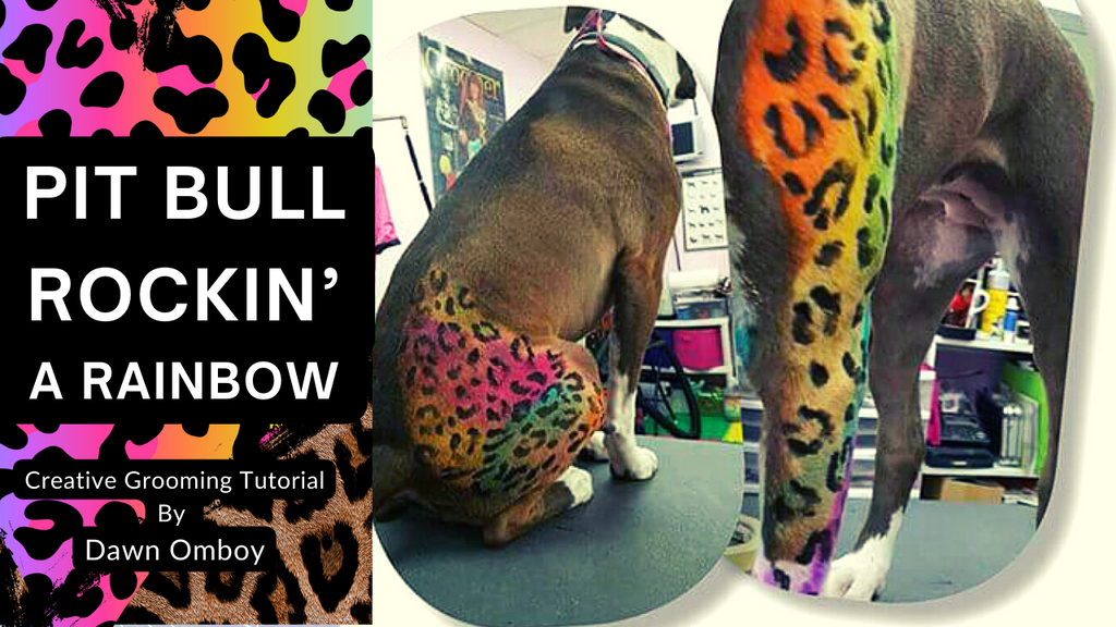 Leopard Spots Animal Print Professional Creative Dog Grooming by Dawn Omboy | OPAWZ