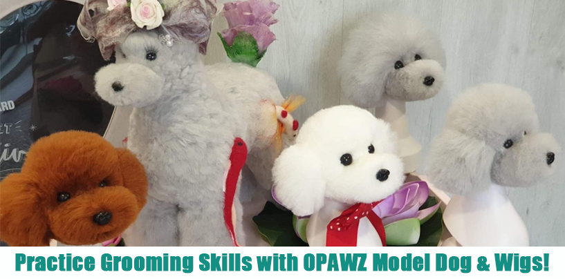 Practice Grooming Skills with OPAWZ Model Dog & Wigs!