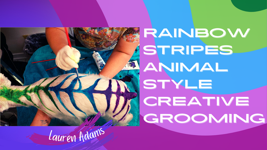 Rainbow Stripes Animal Style Creative Grooming By Lauren Adams | OPAWZ Tutorial