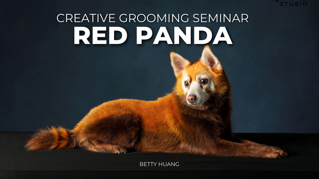 Red Panda Creative Dog Grooming Design by Betty Huang