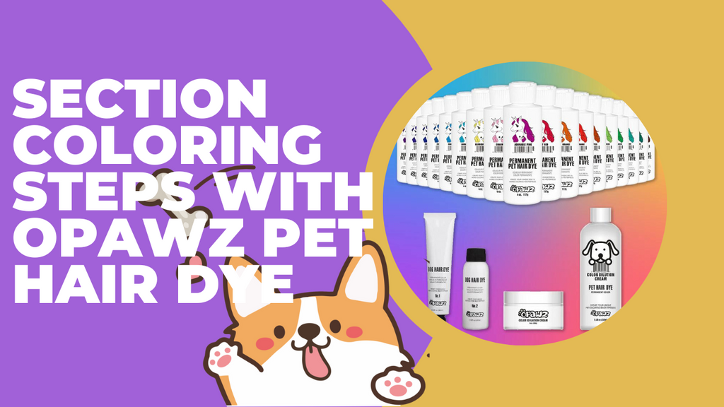 Section Coloring Steps with OPAWZ Pet Hair Dye