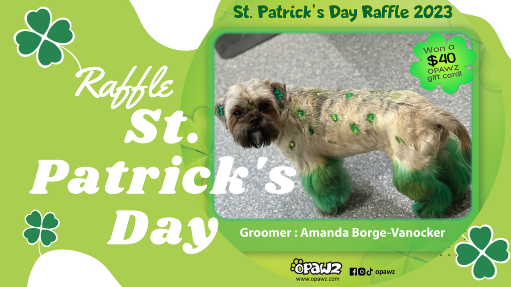 Happy St. Patrick’s Day Creative Dog Grooming 2023 Raffle | OPAWZ