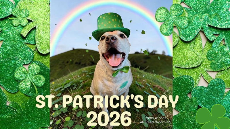 OPAWZ St. Patrick’s Day Creative Grooming Contest 2026